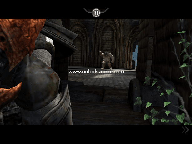 IMG_0056 infinity blade