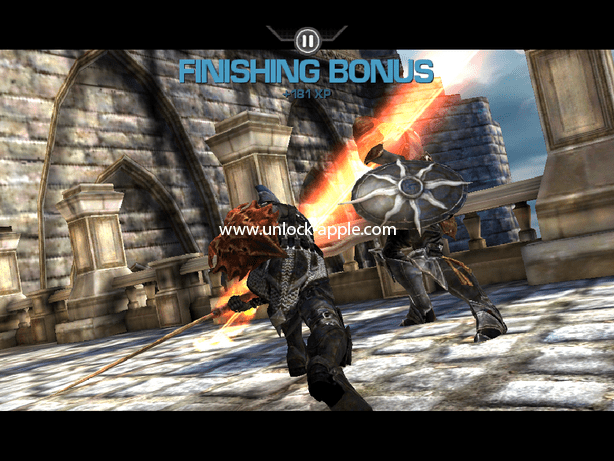 IMG_0062 infinity blade