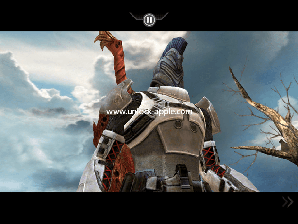 IMG_0119 infinity blade